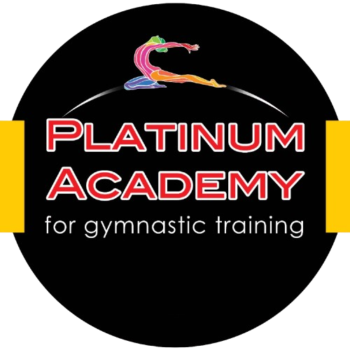 Platinum Academy